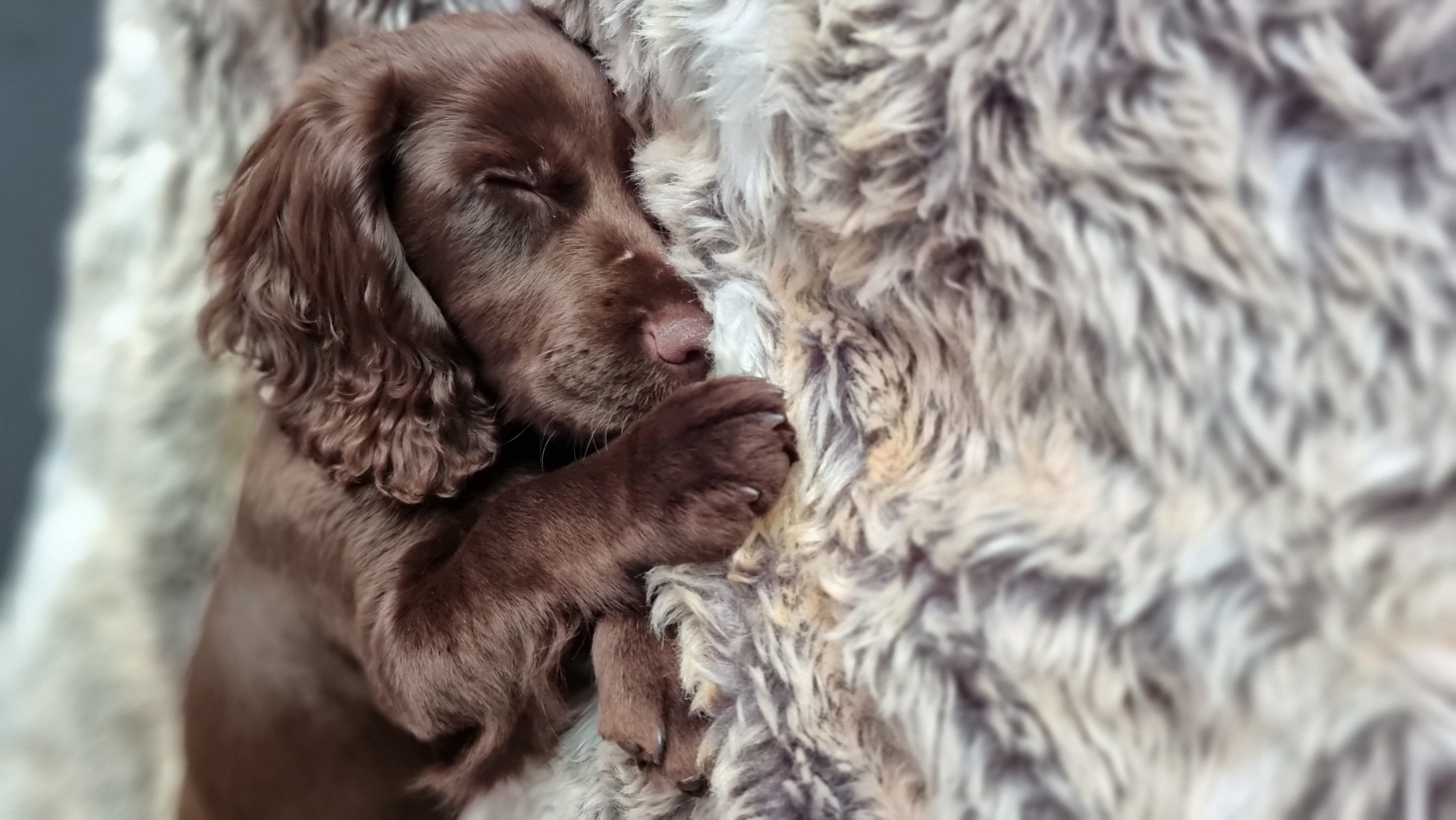 Nap time